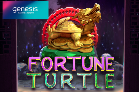 Fortune turtle